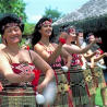 maori